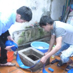 Thau rửa bể nước - Công Ty TNHH Xây Dựng Và Chống Thấm Thành Tâm